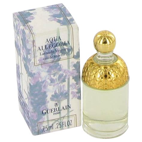 lavande velours aqua allegoria